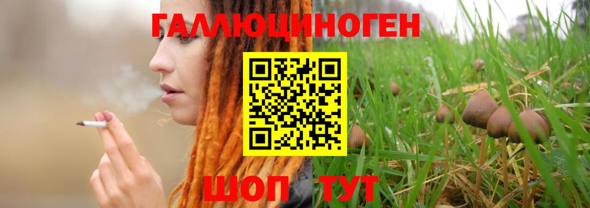 где можно купить   Вход с VPN  Владикавказ  Галлюциногенные грибы Psilocybe 